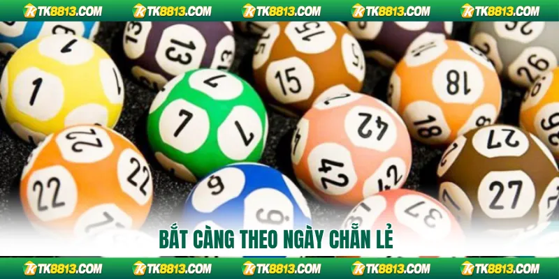 Bắt càng theo ngày chẵn lẻ