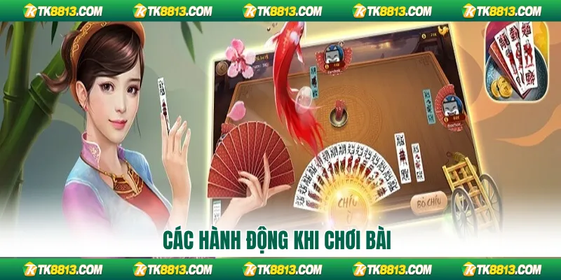 Các hành động khi chơi bài