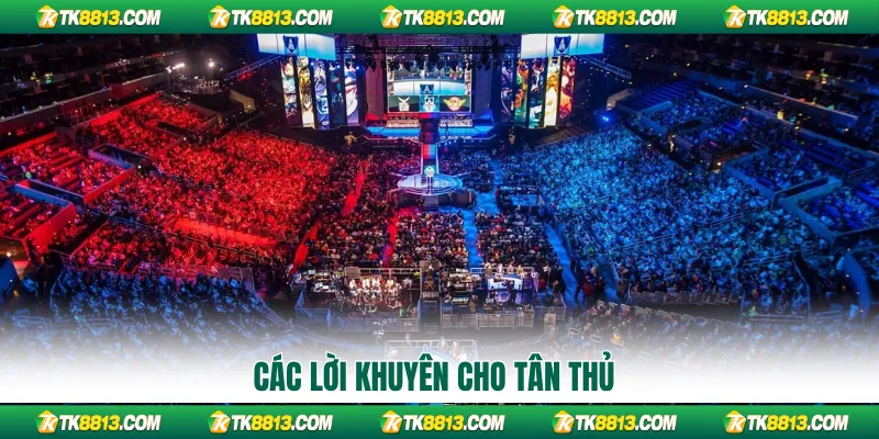Các lời khuyên cho tân thủ