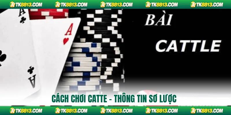 Cách chơi Catte - Thông tin sơ lược