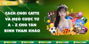 Cách Chơi Catte Và Mẹo Cược Từ A - Z Cho Tân Binh Tham Khảo