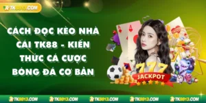 Cách Đọc Kèo Nhà Cái TK88 - Kiến Thức Cá Cược Bóng Đá Cơ Bản