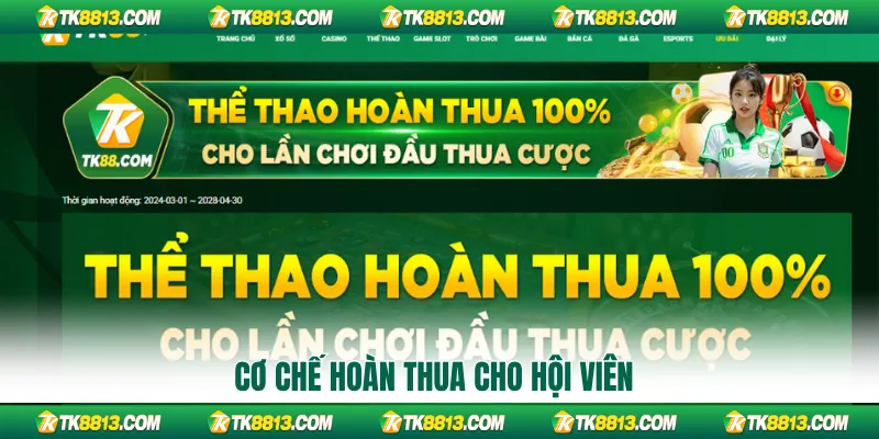 Cơ chế hoàn thua cho hội viên