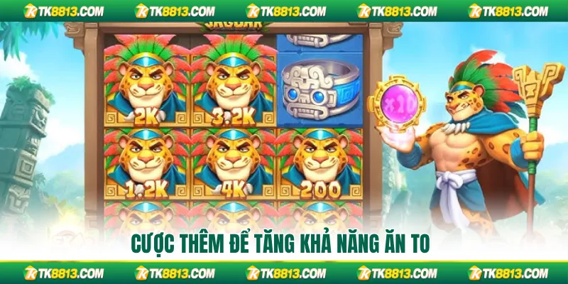 Cược thêm để tăng khả năng ăn to