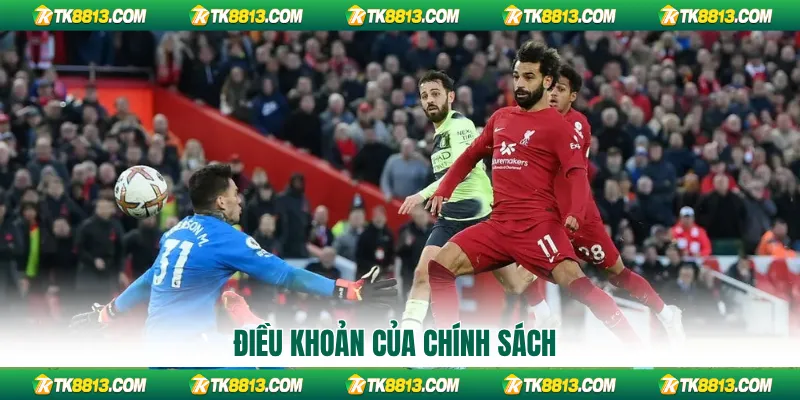 Điều khoản của chính sách