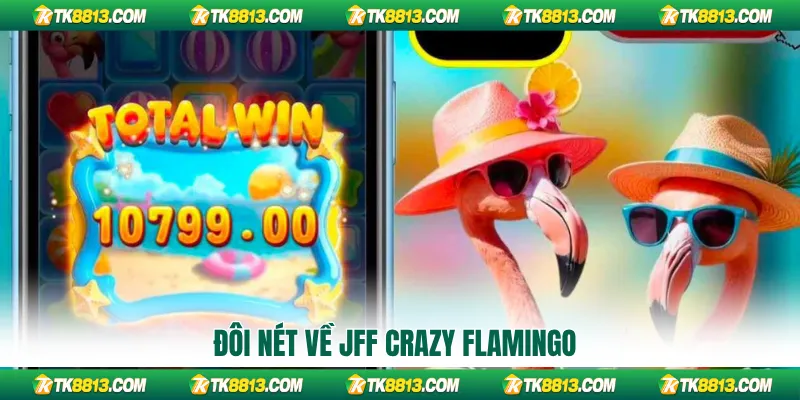 Đôi nét về JFF Crazy Flamingo