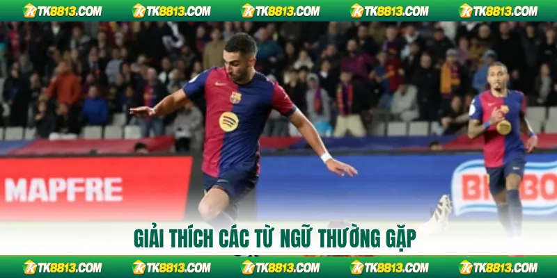 Giải thích các từ ngữ thường gặp