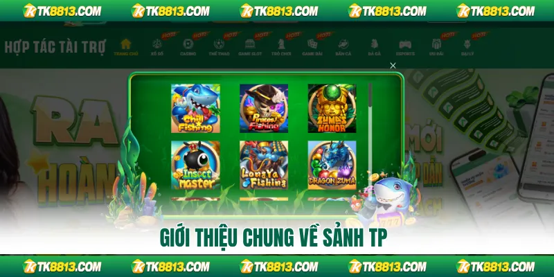 Giới thiệu chung về sảnh TP