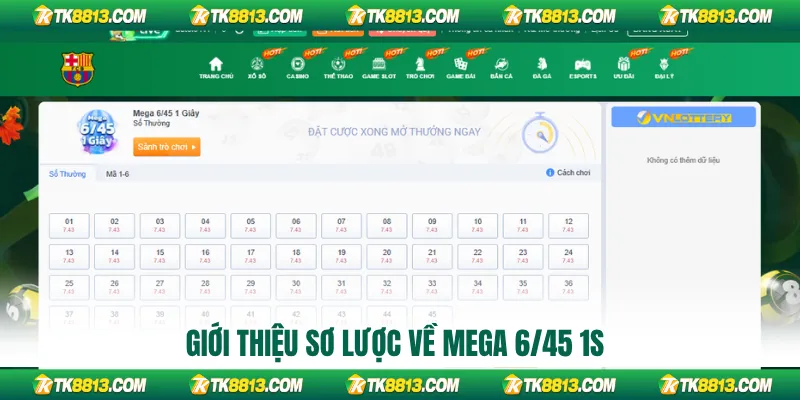 Giới thiệu sơ lược về Mega 6/45 1s