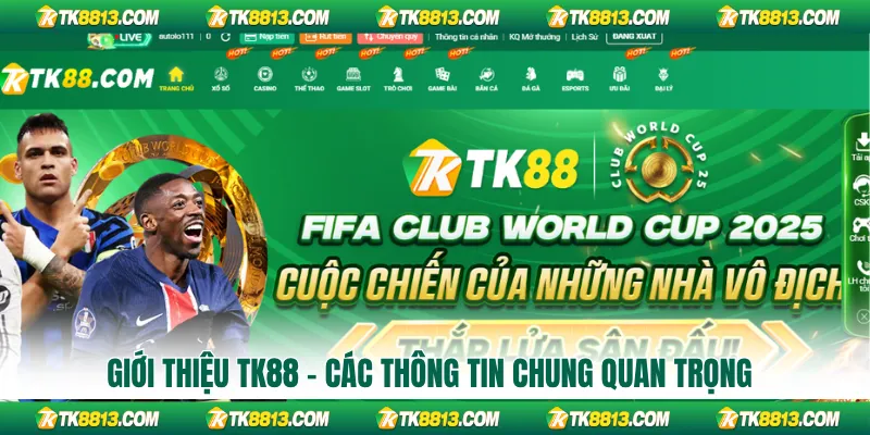 Giới thiệu TK88 - Các thông tin chung quan trọng Giới thiệu TK88 - Các thông tin chung quan trọng