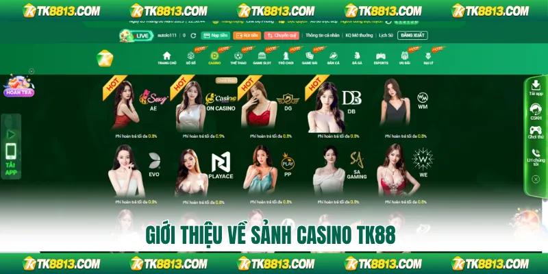 Giới thiệu về sảnh casino TK88