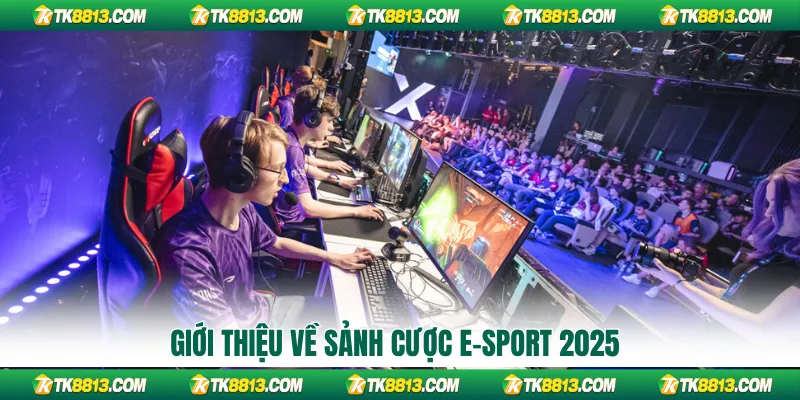 Giới thiệu về sảnh cược E-sport 2025