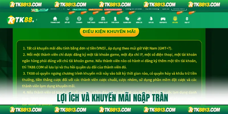 Lợi ích và khuyến mãi ngập tràn Lợi ích và khuyến mãi ngập tràn
