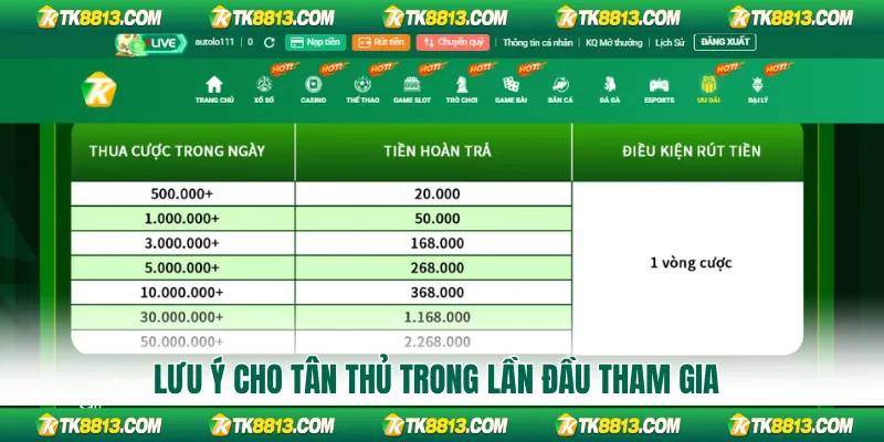 Lưu ý cho tân thủ trong lần đầu tham gia Lưu ý cho tân thủ trong lần đầu tham gia
