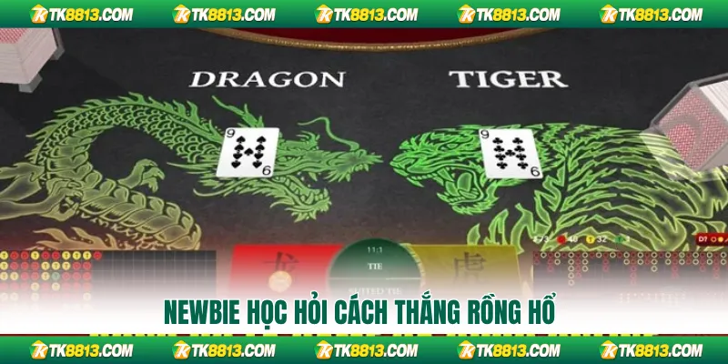 Newbie học hỏi cách thắng Rồng Hổ