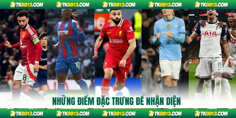 Những điểm đặc trưng để nhận diện