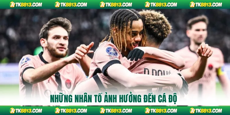 Những nhân tố ảnh hưởng đến cá độ Những nhân tố ảnh hưởng đến cá độ