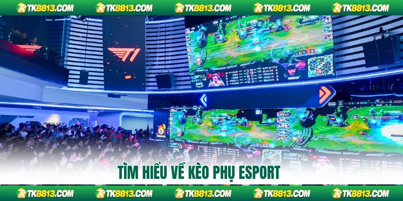 Tìm hiểu về kèo phụ esport