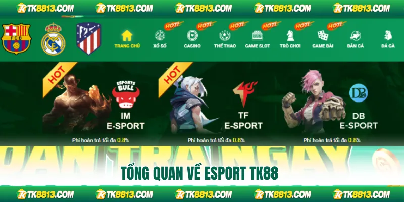 Tổng quan về Esport TK88