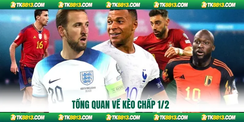 Tổng quan về kèo chấp 1/2