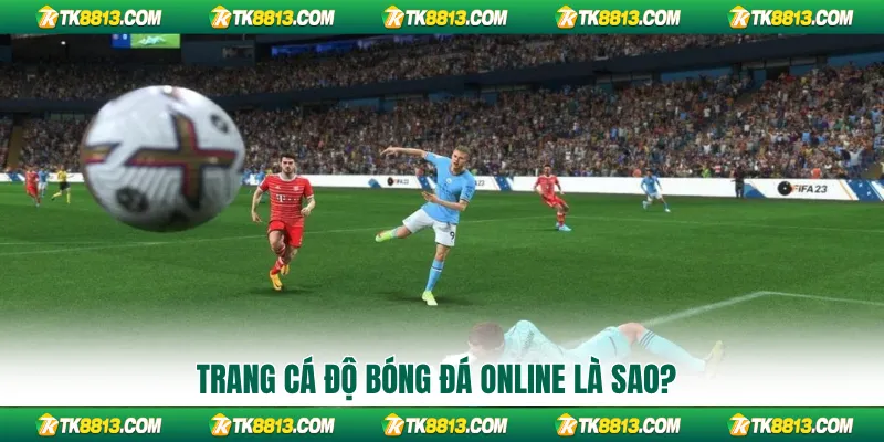 Trang cá độ bóng đá online là sao?