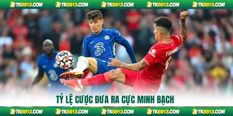 Tỷ lệ cược đưa ra cực minh bạch