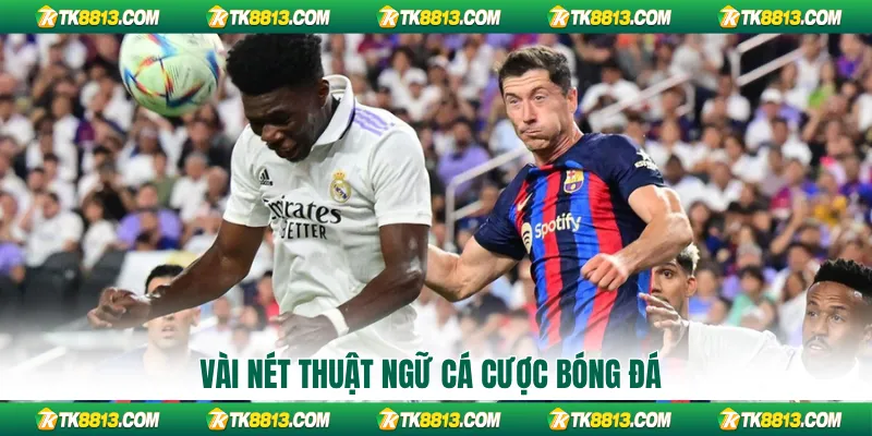 Vài nét thuật ngữ cá cược bóng đá